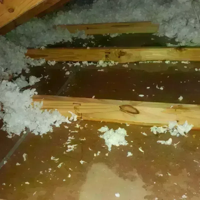 Attic Water Damage in Hamtramck, MI